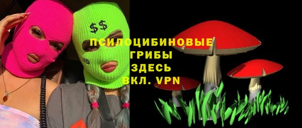 герыч Ельня