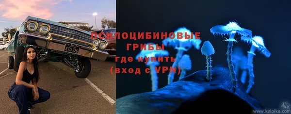 эйфоретик Елизово