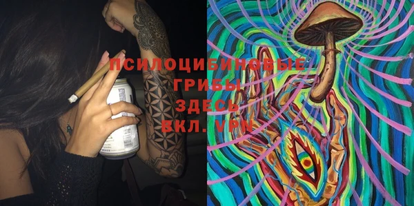 кокс Дмитриев